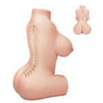 Erika Life Size Sex Doll Torso Masturbator with Perky Boobs & Plump Labia