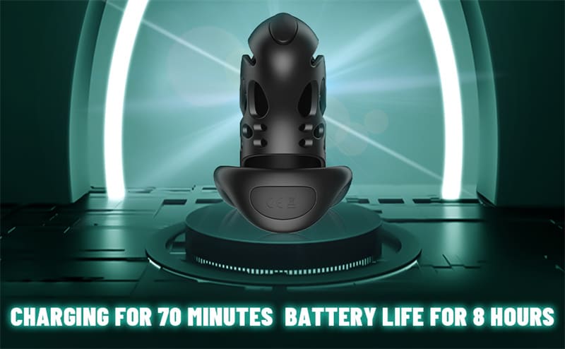 Lovesvibe Chastity Cage Device, 9 Frequency Electric Shock Cock Cage with Remote Control