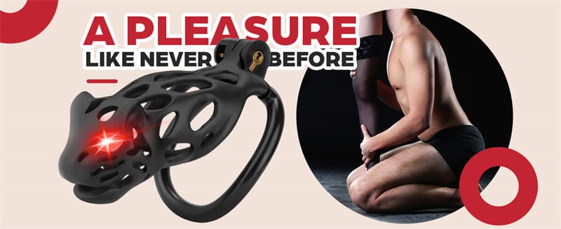 Lovesvibe Invisible Male Chastity Cage Device with Invisible Lock, Keys & 3 Dick Rings