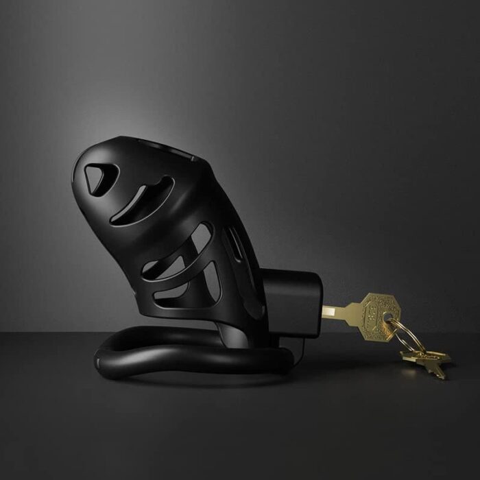Lovesvibe Lightweight Male Chastity Cage with 3 Cock Rings & Invisible Lock