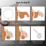 Male Chastity Cage with 4 Active Rings & 2 Keys for Male Penis Exercise & Abstinence